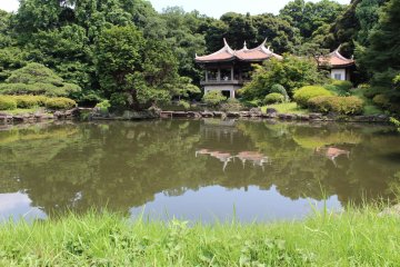Shinjuku Gyoen in June