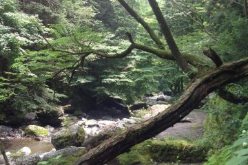 Small River Valley