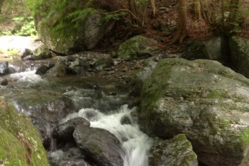 Mountain Stream