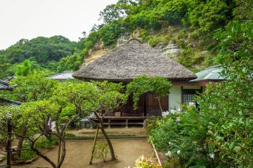 <p>Located next to this temple is a small alleyway and trailhead for the Tenen Hiking Course where it is possible to get one last look at the courtyard and garden</p>