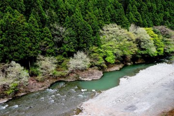 Kanagawa's Doushi Road