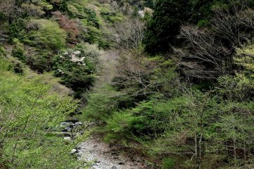 <p>The river winds through the mountains</p>
