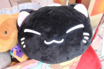 <p>Hello!</p>