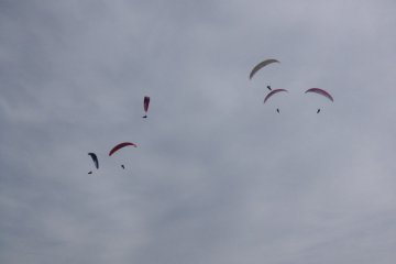 <p>Beaucoup de gens &eacute;taient en vol aujourd'hui</p>