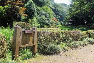 <p>There are lots of pretty little paths about the park</p>