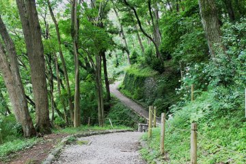 <p>It's lovely to be somewhere so green in busy Machida</p>