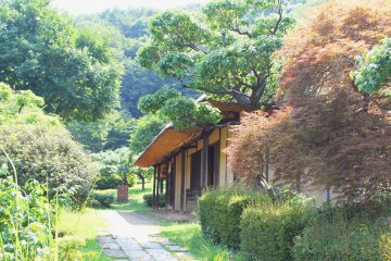 <p>One of the old thatched houses &nbsp;</p>