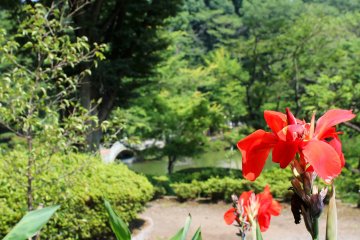 Yakushi-Ike Park