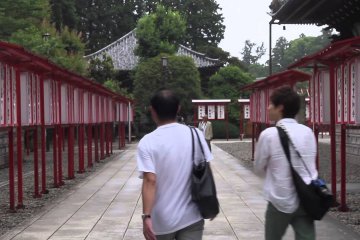 Exploring Okinawa, Tokyo and Narita