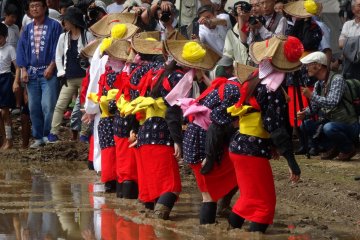 Para peserta berbaris di tepi sawah (dan berpose untuk foto)