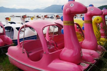 Make sure to choose your favorite cute pedal boat to go out as well!