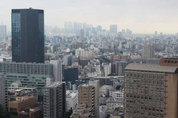 <p>Shinjuku in the background&nbsp;</p>