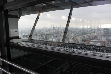 <p>Some lovely reflections&nbsp;</p>