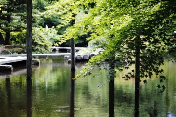 <p>The pond is surrounded by low hanging trees and colorful flowers.</p>