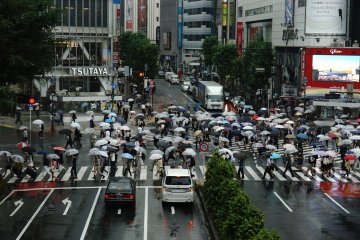 <p>Parade payung di Shibuya</p>