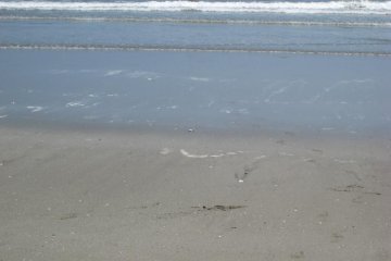 Flawless sand and clear, clean waters to cool off on a hot day