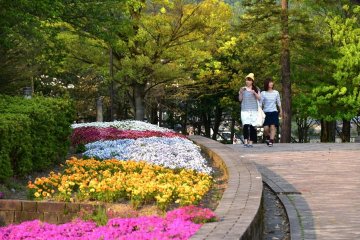 Liburan di Fukui Green Center