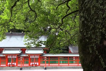Hayatama Shrine & Giant Holy Rock