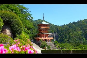 Nachi Shrine & Waterfall