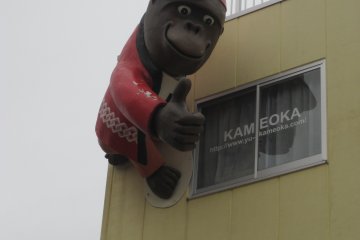 <p>Say hi to this guy on the way too!</p>