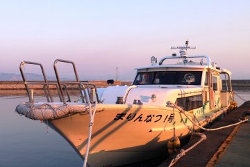The Art Liner fast ferry at Ieura Port in Teshima. The first ferry departs at 7 for a 35 minute trip to Takamatsu&nbsp;