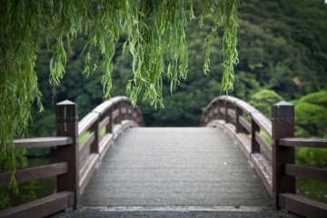 <p>Un pont enjambe l'eau dans le jardin traditionnel japonais</p>