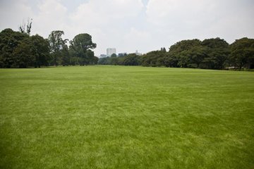 <p>De nombreuses parties du parc sont de vastes &eacute;tendues d'herbe verte et tendre, id&eacute;ale pour se d&eacute;tendre et profiter du soleil</p>