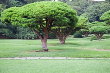 <p>Le jardin traditionnel japonais est un endroit agr&eacute;able pour se relaxer</p>