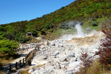<p>Magma at the bottom of Chijiwa Bay is thought to be the source of the volcanic activity.</p>