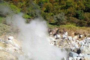 <p>Gases here reaches 120 degrees celcius, mainly in the form of steam.</p>