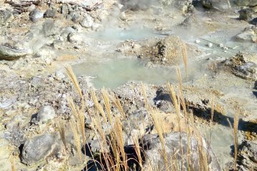 <p>The highest temperature of the water is 98 degrees celcius.</p>
