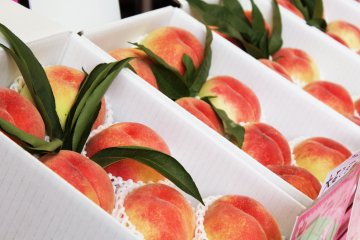 <p>Some of Japan's best peaches come from Fuji</p>