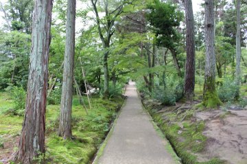 <p>The moss garden</p>