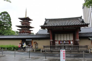 <p>Just outside the gate of Yakushiji Temple. The west pagoda is visible on the left &nbsp;</p>