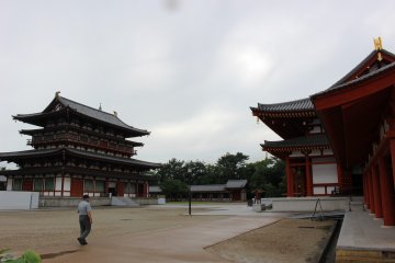 <p>The yard</p>