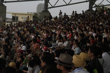 <p>Spectators gaze at the amazing ability of the dolphins.&nbsp;</p>