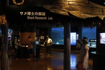 <p>The entrance to the shark research lab which hosts various species of shark.&nbsp;</p>