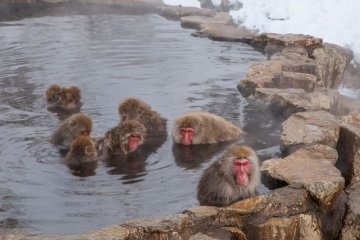 Onsens, Japan's favorite pastime and a relaxing experience for anyone and everyone