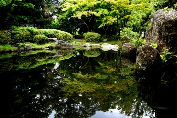 <p>The still ponds create magnificent reflections</p>