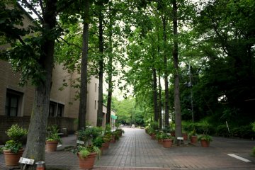 <p>The Machida City Museum of Graphic Arts stands near the entrance of the park</p>