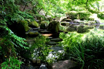 <p>The foliage seems to merge into the reflections of the pond &nbsp;</p>