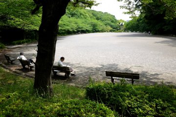 <p>This large open area is used for festivals and events</p>
