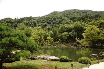 <p>landscape taman yang menjadi favorit turis, letaknya teat di depan Hojo ( Main Hall)</p>