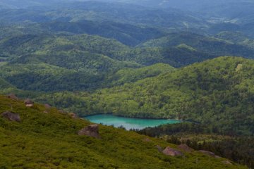 Look at this colour, have you ever seen a green like this?