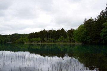 The weather was not even particularly nice, but…