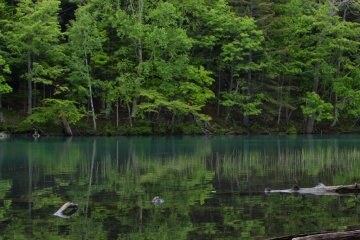 …there were more of these stunning reflections,