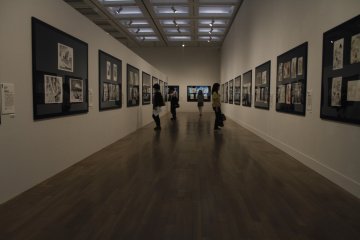<p>People viewing the exhibition.</p>