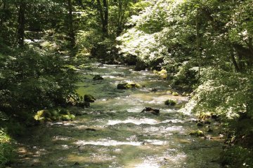 <p>A source of the local hot springs</p>