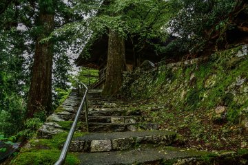 <p>Stairs to the tower where Buddha statues are stored</p>