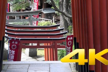 Ueno Park Part 1
